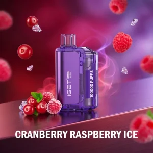 IGET-Flare-10000-Disposable-Vape-Blueberry-Ice-Watermelon-Ice-Cranberry-Raspberry-Ice-Double-Apple-Strawberry-Watermelon-Mountain-Spring-Mint.webp IGET Flare 10000 Disposable Vape